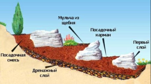 Устройство дренажной системы под альпинарий гарантирует нормальное произрастание растений.