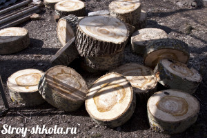 Напиленный ствол дерева для садовой дорожки