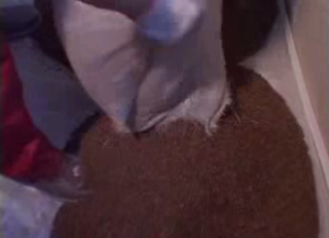 Укладываем керамзит
